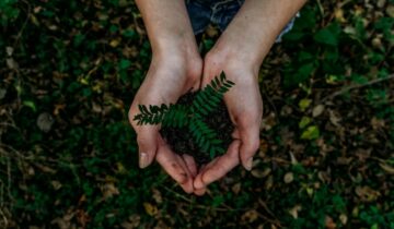5 Environmentalists In India Working Towards A Better Tomorrow