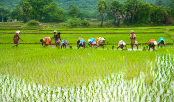 Sustainable Agriculture & Local Communities: The Only Way Forward Is Together