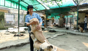 What are we if we don't help those who can’t ask for help? Asks Animal Rights Activist, Anuradha Dogra
